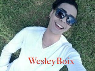 Wesley_Boix