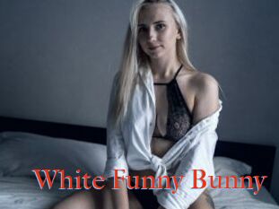 White_Funny_Bunny