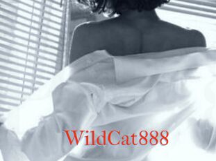 WildCat888