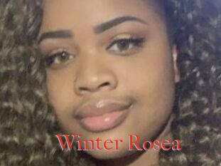 Winter_Rosea