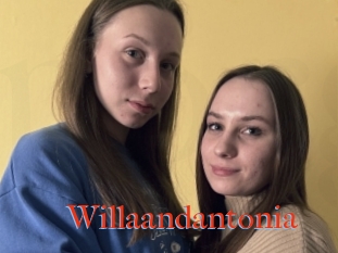 Willaandantonia