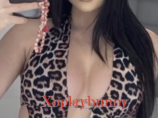 Xoplaybunny