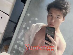 Yunfengg