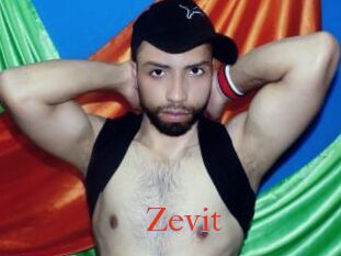 Zevit